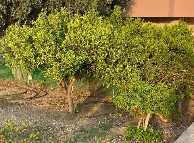 Appartamento Fotis House 2