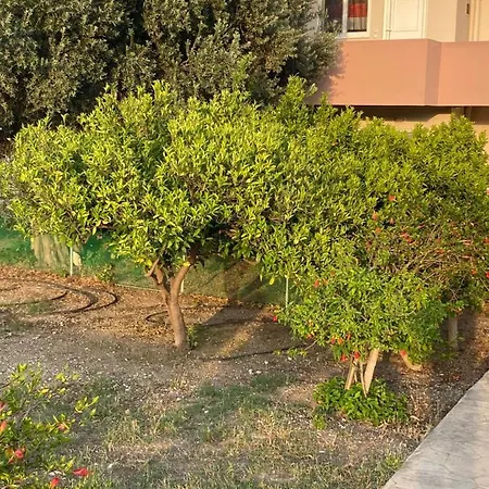 Apartamento Fotis House 2